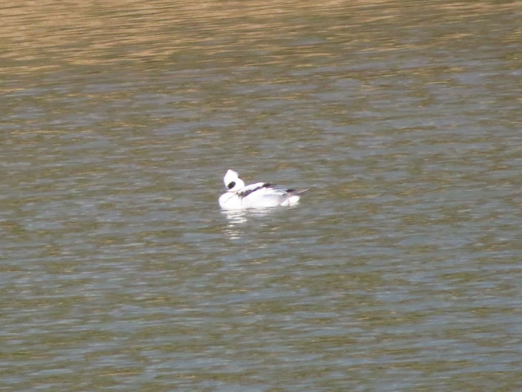 a0018655_13052472.jpg
