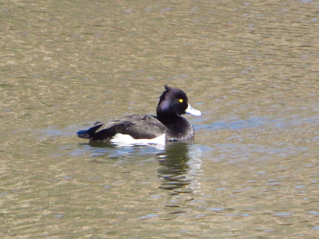a0018655_13061344.jpg
