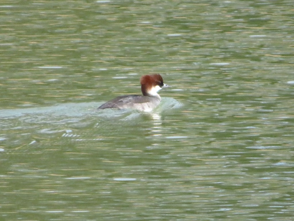a0018655_13061375.jpg