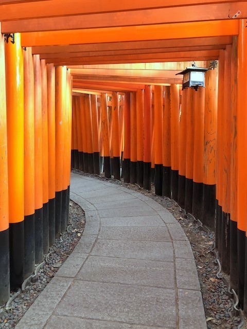 b0279058_16315755.jpeg
