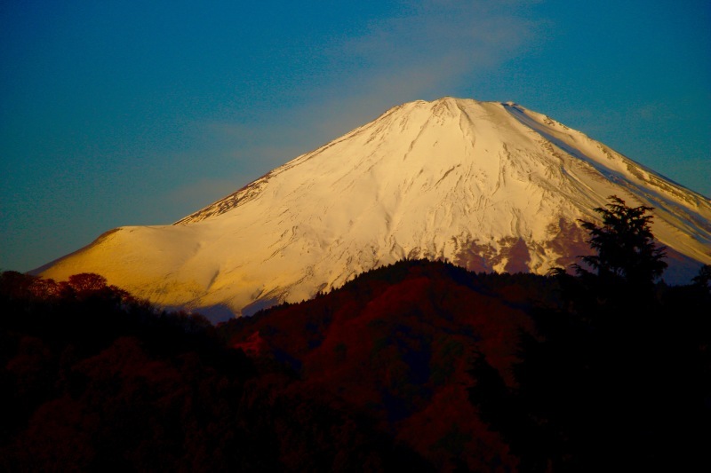 a0248459_14470504.jpg