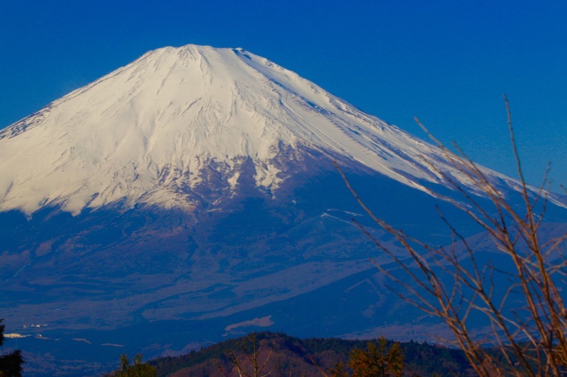 a0248459_14550803.jpg