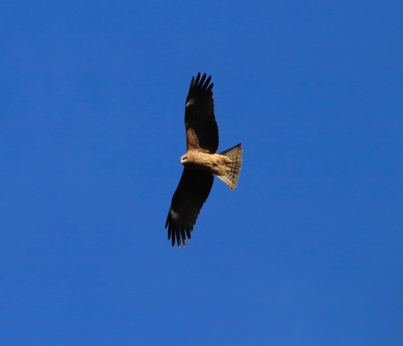 a0248459_14553008.jpg