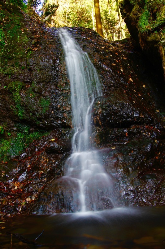 a0248459_15001151.jpg