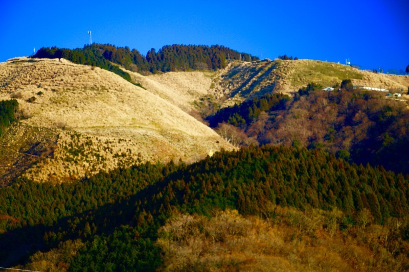 a0248459_15025100.jpg