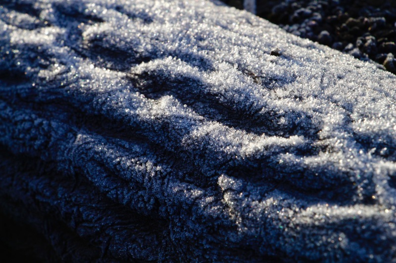 a0248459_15064445.jpg