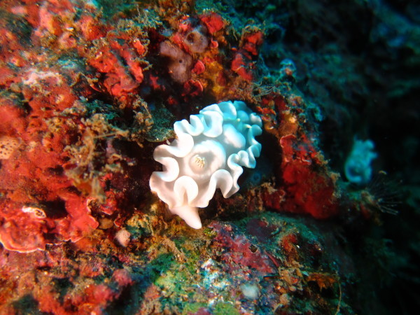 f0164662_15575700.jpg