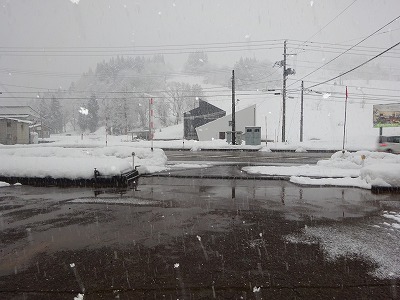 d0074063_07351043.jpg