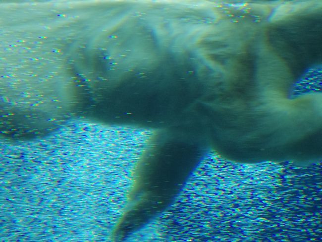 b0014576_21023012.jpg