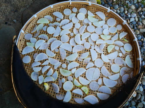 f0054677_08314009.jpg