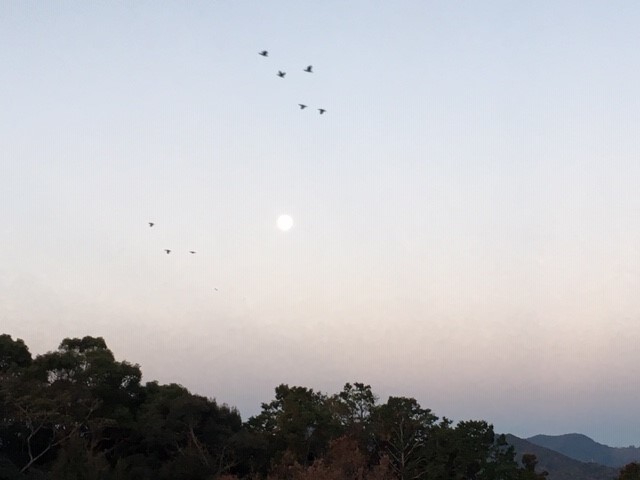 c0344679_16244444.jpg