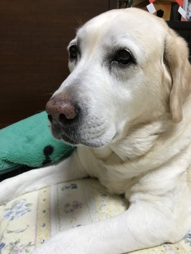 f0315081_21480879.jpeg