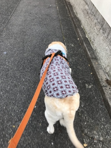 f0315081_21500100.jpeg