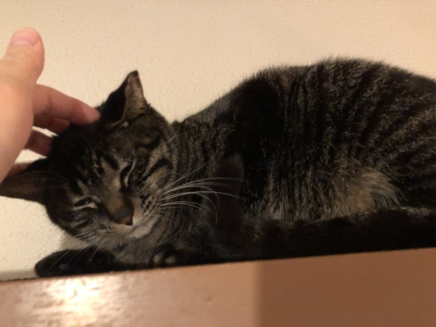 b0377882_18373035.jpeg