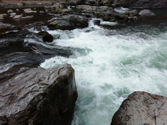 c0212083_18365019.jpg