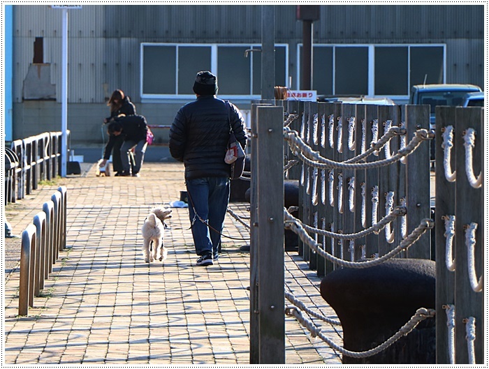 初詣の帰りには、今年初のかんたん港園でルンルン_b0175688_00202488.jpg