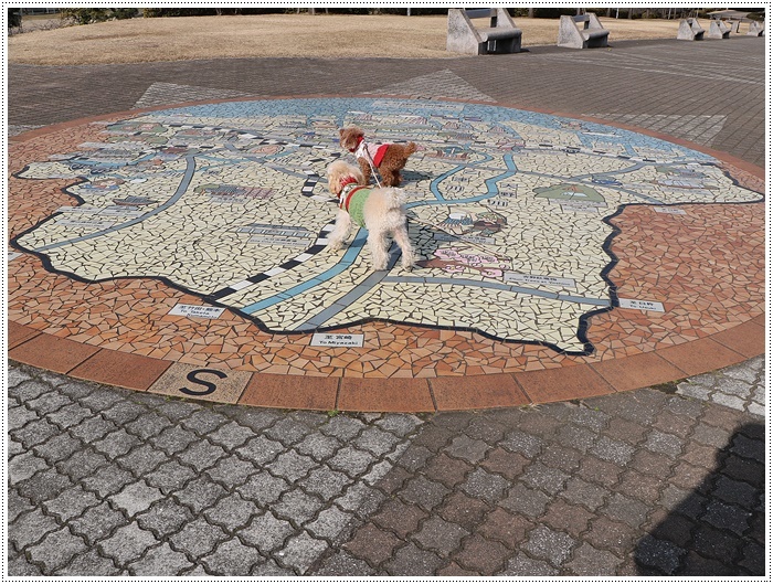 b0175688_19422060.jpg