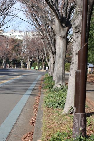 c0090198_18253767.jpg