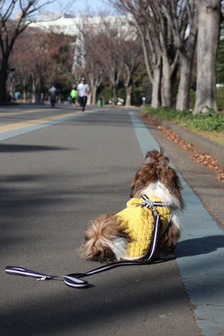 c0090198_18263661.jpg