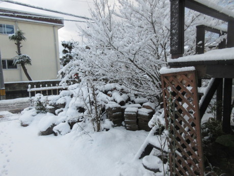 a0203003_10050008.jpg