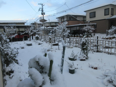 a0203003_10051365.jpg