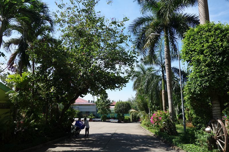 d0133704_13521269.jpg