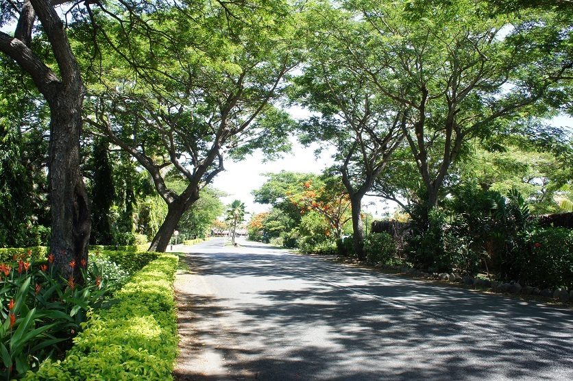 b0112909_00221865.jpg