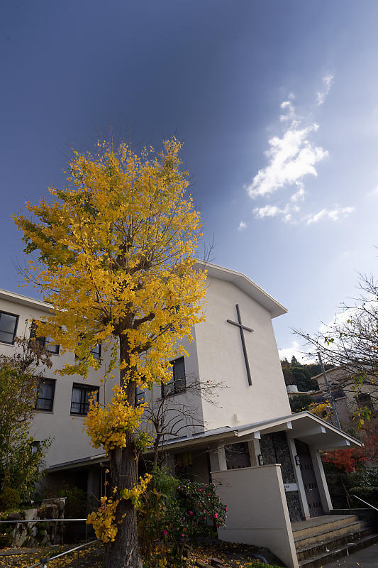 紅葉巡り番外編＠鹿ヶ谷　ノートルダム女学院和中庵_f0032011_20233923.jpg