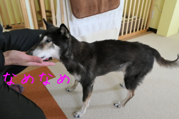 f0369014_19135121.jpg