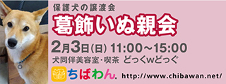 1/29引き出し編・レポート紹介　全　３２頭_f0078320_15411337.jpg