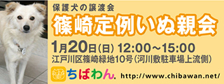 1/15引き出し編・レポート紹介　全　３５頭_f0078320_15422748.jpg