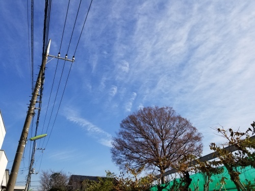 e0016828_10235263.jpg