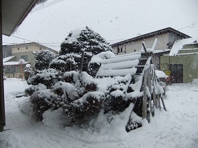 a0135029_16532166.jpg