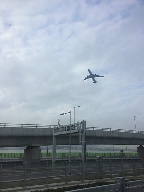 f0371533_11374566.jpg