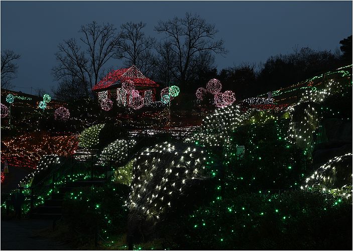 まんのう公園イルミ_a0256349_928297.jpg