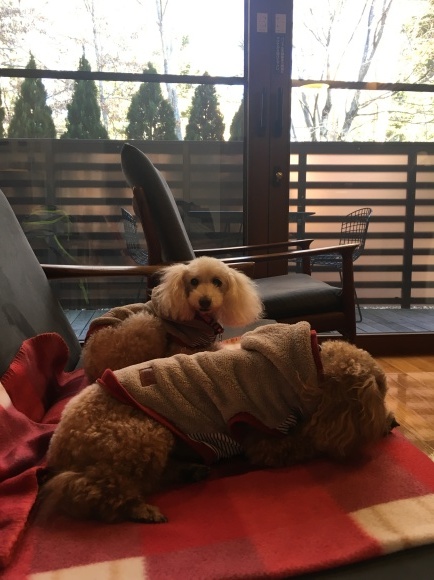 c0120363_08070908.jpeg