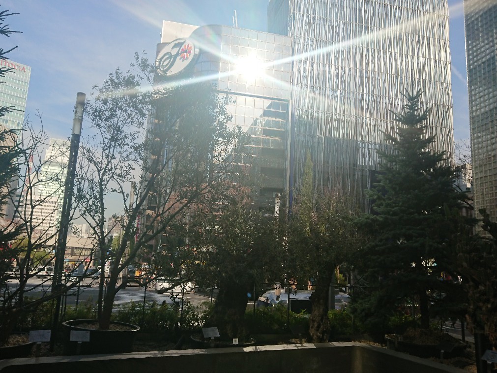e0376371_08563010.jpg