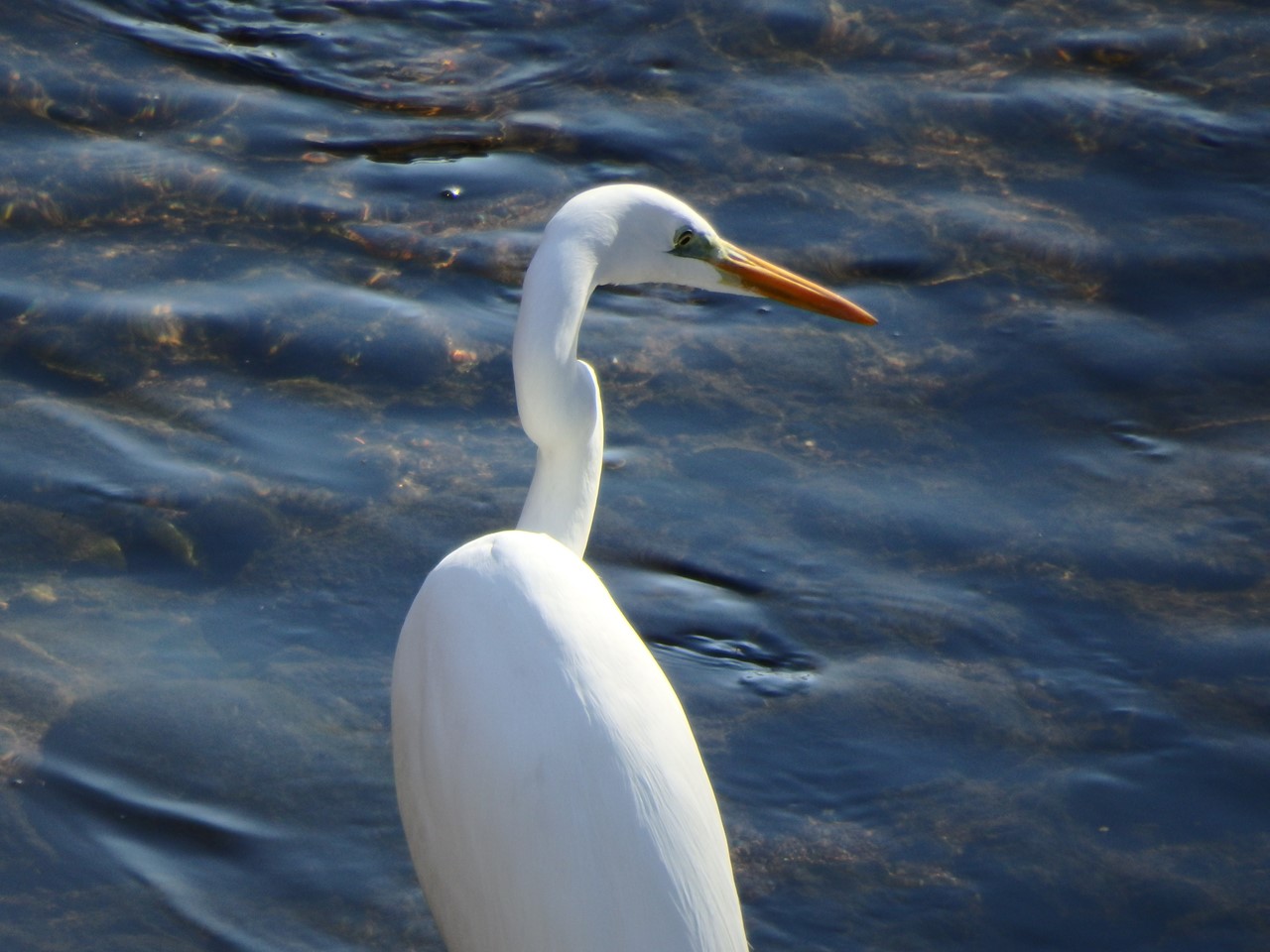 d0054276_20351071.jpg