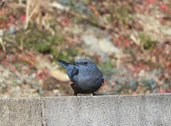 f0378979_17313202.jpg