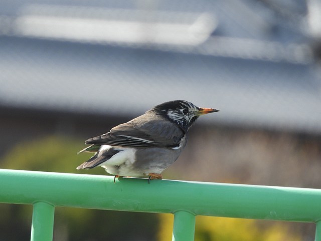 f0378979_17354715.jpg