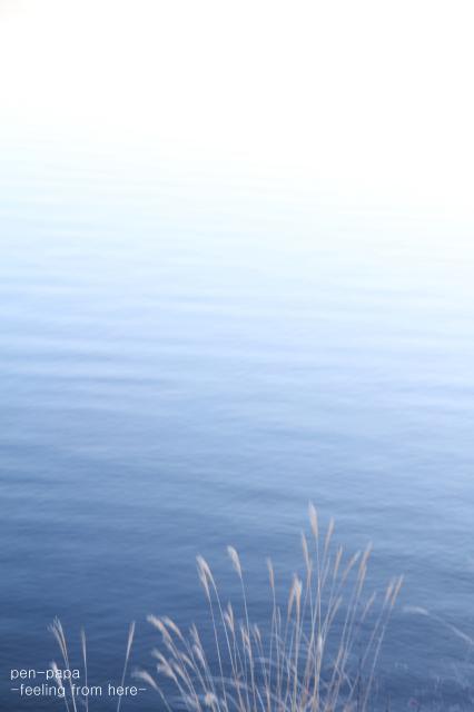 c0356480_18245135.jpg