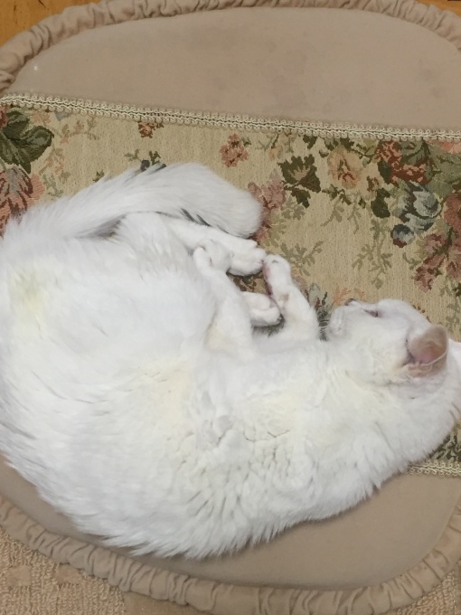 a0125981_19223063.jpeg