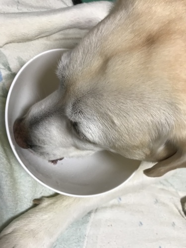 f0315081_17394007.jpeg