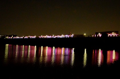 c0229483_847204.jpg