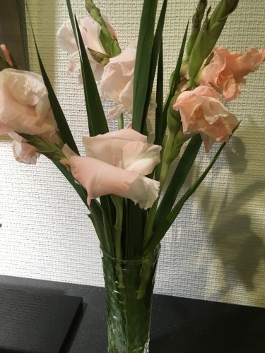 今日から6連休_f0347891_18582956.jpeg