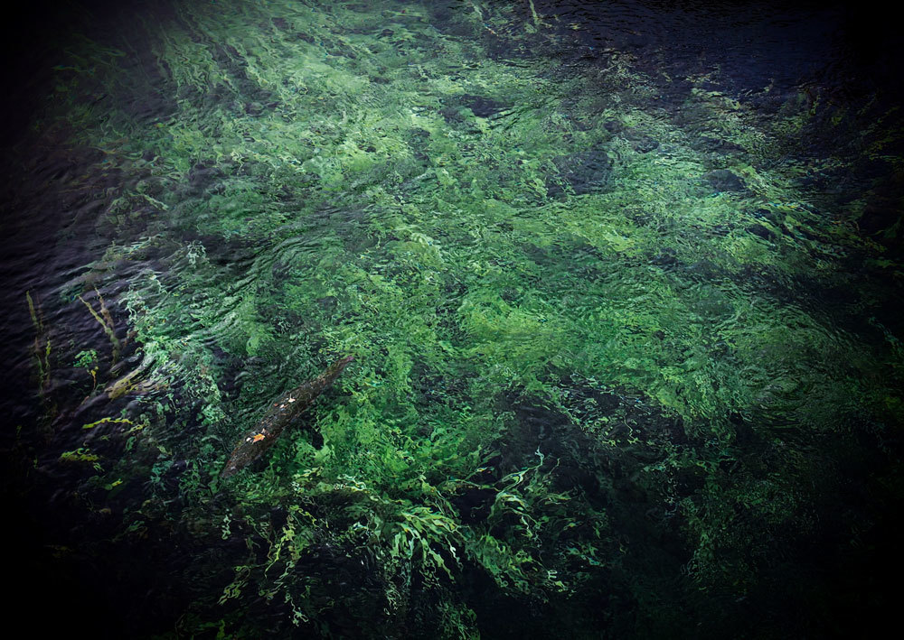 f0018492_23594828.jpg