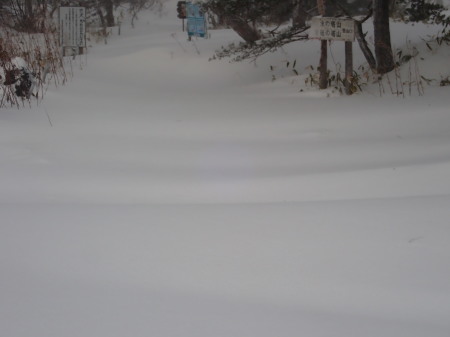 吹雪の朝_e0120896_10035103.jpg