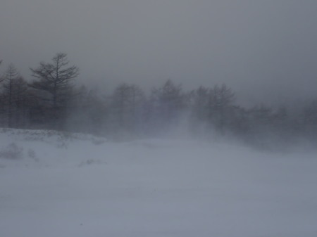 e0120896_10041415.jpg