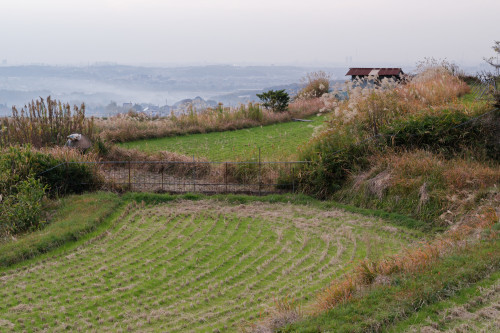 e0366896_16545562.jpg