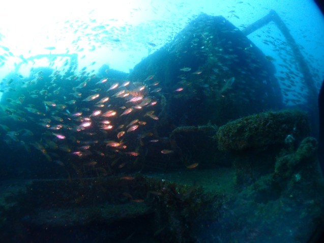 e0115199_13590950.jpg